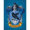 Ravenclaw Canvas Print