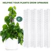 4Pcs Moss Pole Plant Climbing Support D-Shaped Design Easy Attachment Vertical Growth Stackable Plant Supports