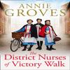 The District Nurses of Victory Walk by Annie Groves Paperback Book 9780008272210
