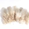80 Natural Pheasant Feather Decorative Diy Jewelry Hair Accessories Material Cat Stick Toy Accessories