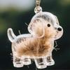 Cartoon Dog Shape Dog Hair Storage Box Hair Grooming Transparent Pet Hair Keychain Diy Handmade Acrylic Puppy Pendants Backpack