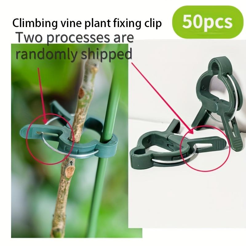 50pcs Garden Greening Garden Clip Seedling-assisted Gardening Clip Grafting Flowers and Trees Fixing Clip Plant Fixing Clip Garden Cable Ties