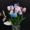 2 Bunch of PU Simulation Tulips