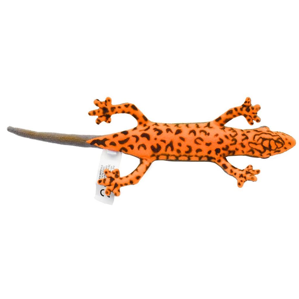 BH8141 HANSA Red-bellied Newt 23