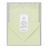 Midori Letter Set Flower Colored Japanese Paper Gr