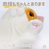 Shinada Global Mochi Series Mochi Neko Black (M) 14 X 14 X 22cm Plush Cat Animal MONE-0230B