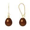 Earrings - - Genuine Freshwater Pearls 9-10 Mm Chocolate - 9 Cts Yellow Gold - AAA+