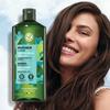Yves Rocher Alge Refresh Shampoo 300ml (for Oily Scalp)
