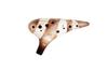 TNG Unglazed Ocarina [Single 12-Hole Alto C Key] (Includes Case) Ocarina Wind Instrument High Temperature