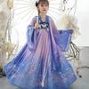 Retro Chinese Hanfu Dress Imitation Chinese Tang Dynasty Girls Dress