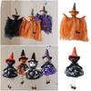 Ghost Witch Drop Ornament Multicolor Hang Decorative Dolls Halloween Hanging Decoration  Gift