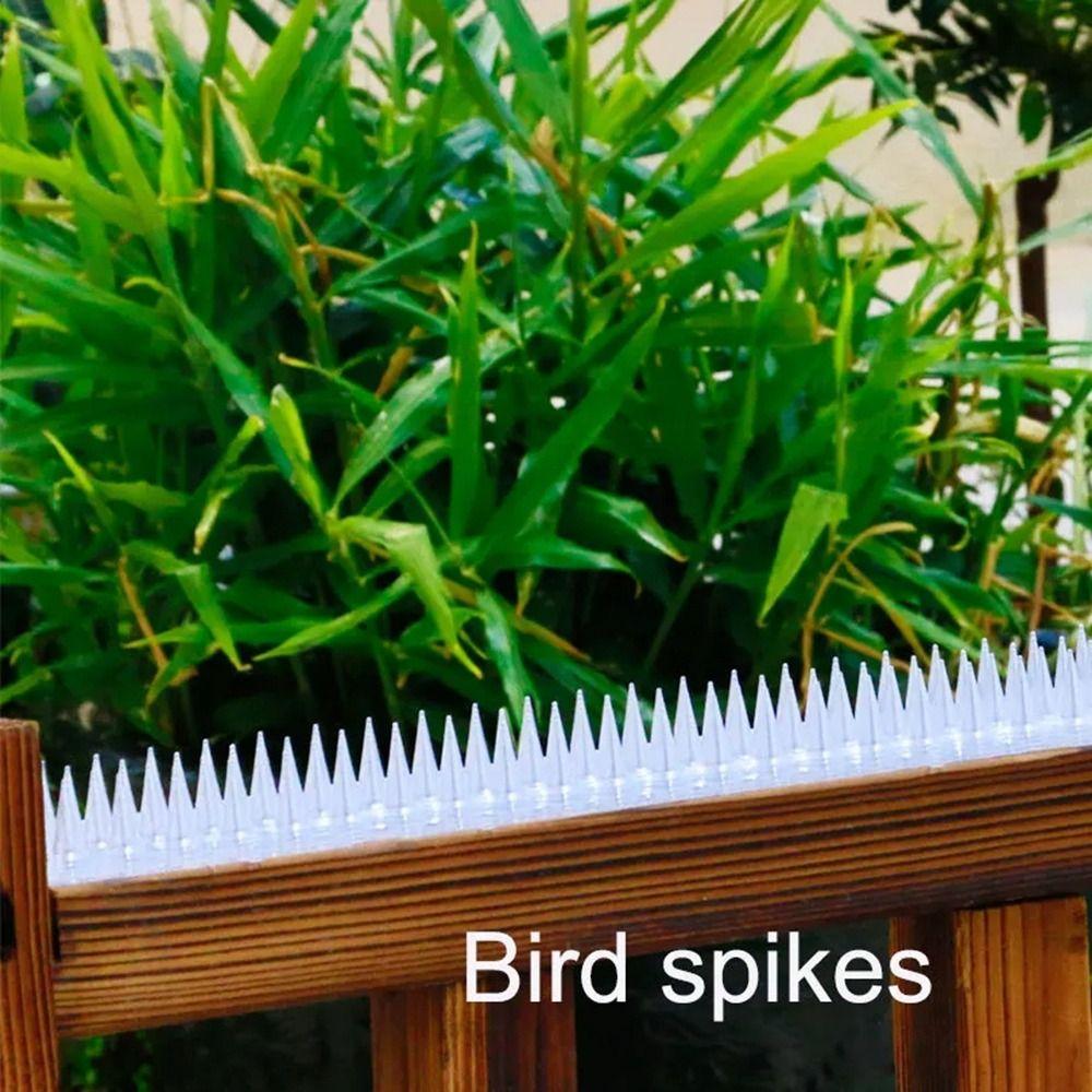 10/20Pcs Strips Bird Spike Repellent Plastic Bird Control Spikes Anti Pigeons Away Spikes