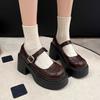 Black College Style Platform Thick Heel Shallow Mouth Single Shoes Women's 2025 Autumn New British Retro Mary Jane Small Leather Shoes