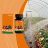 Flower Plant Food, Liquid Fertilizer For Flowers, Vegetables, And Universal Plant Fertilizer For Indoor And Outdoor Potted Plants,100ml