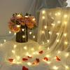 USB/Battery Power Star Fairy Lights LED String Lights Christmas Garland For Terrace Home Party Wedding Decoration Lights