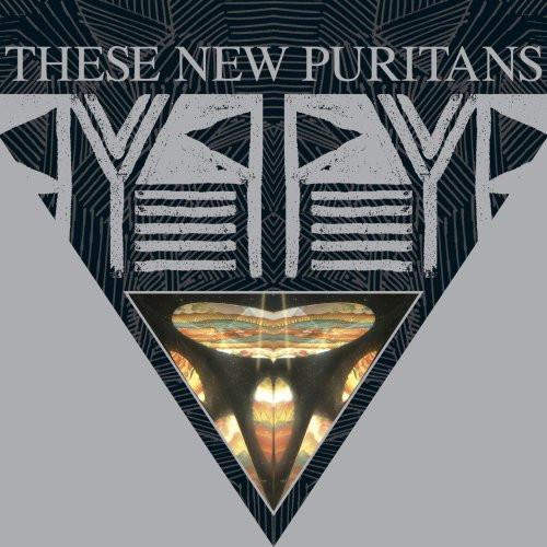 CD THESE NEW PURITANS - Beat Pyramid DNO170 Domino 2008 EU Rock Used