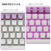 XVX Keycap 165 Key Pudding Keycap PBT Transparent Keycap Cherry MX Gateron Switch Keyboard OEM Profile Keycap (Purple/White)