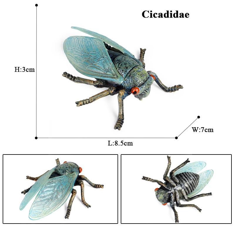 Oenux Simulation Dragonfly Grasshopper Centipede Wild Insect Animals Model Action Figures Miniature Education Collection Kid Toy