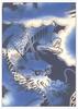 Tenugui Made In with a Dragon Design Niwa-zome (hand Towel) - Chū-sen Dyeing, 100% Cotton, Japan,