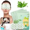 Wormwood Steam Eye Mask Hot Compress Eye Mask Travel, Rest, Sleep - Self-heating, Gentle On Eyes, Hypoallergenic