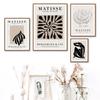 Matisse Plant Abstract Line Woman Body Posters And Prints Canvas Painting Nordic Wall Art Pictures For Living Room Home Decor