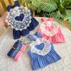 Pet Spring and Summer Princess Dress, Dog, Cat, Denim Harness Dress, Teddy Dog, Clothes, Cat