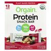 Organic Plant Protein Snack Bars, Peanut Butter Chocolate Chunks, 12 Count, 40G (1.41Oz) Each