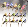 12 Pieces Simulation Garden Bird Model Craft Tree Ornament Decorative Animal Statue Backyard