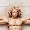 Figma Table Museum Vitruvian Human Figure Painted Movable Figure Non-scale ABS&PVC