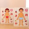 Multi-Layer Body Structure Puzzle Boys Girls Educational Anatomy Jigsaw  Preschool Game