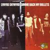 CD LYNYRD SKYNYRD - Gimme Back My Bul MCAD31004 MCA Records 1987 US Rock Used