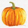 Pumpkin Transparent Pumpkin Iron On Heat Transfer Printing Vinyl Patches Sticker for Clothes DIY Appliques Washable Patches