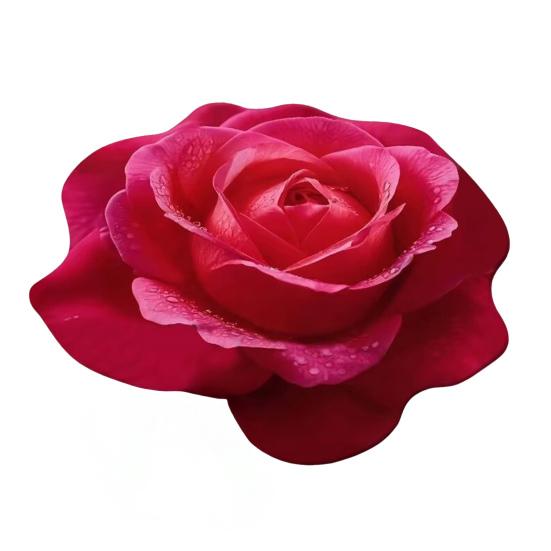 Floral Floor Mat Realistic 3D Visual Effect Flower Carpet Absorbent Floor