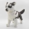BH7512 HANSA Siberian Husky Size 43 Puppy,