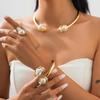 Baroque Pearl Necklace Clavicle Chain Set - European & American Retro Niche Design