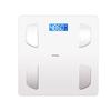 Rechargeable High-Precision Body Fat & Weight Scale