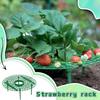 Strawberry Tray Support For Planting Pottedand Green Plants Splicing Anti-rot Lodging Leaf Rottengardening Support Frame