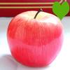 6 Pcs Artificial Fruit Fake Fruits Lifelike Good Details Decorative No Decompose Colorfast Faux Fruits Home Kitchen Party Adult Sex Wear