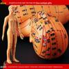 50CM Clear Meridian Human Body Model - Male & Female Traditional Chinese Medicine Acupuncture Points.