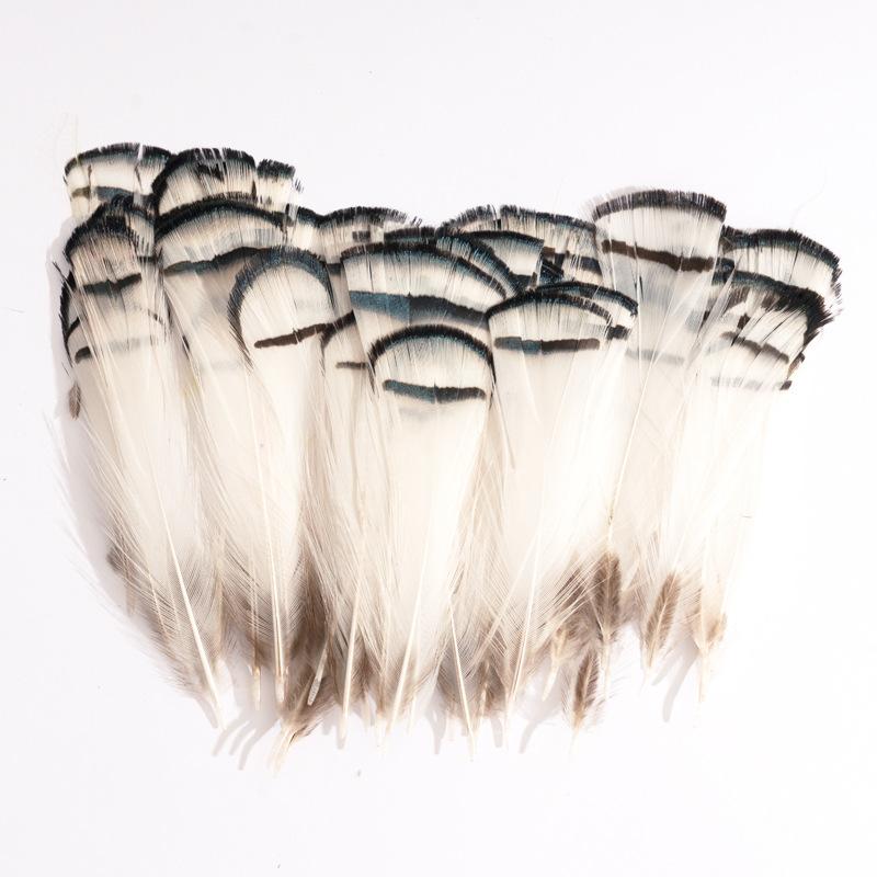 80 Natural Pheasant Feather Decorative Diy Jewelry Hair Accessories Material Cat Stick Toy Accessories