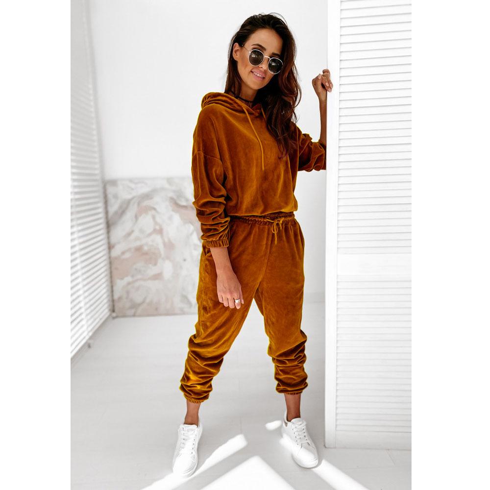 Women's Solid Color Gold Velvet Hooded Long-Sleeve Sports Casual Suit - Autumn/Winter 2021