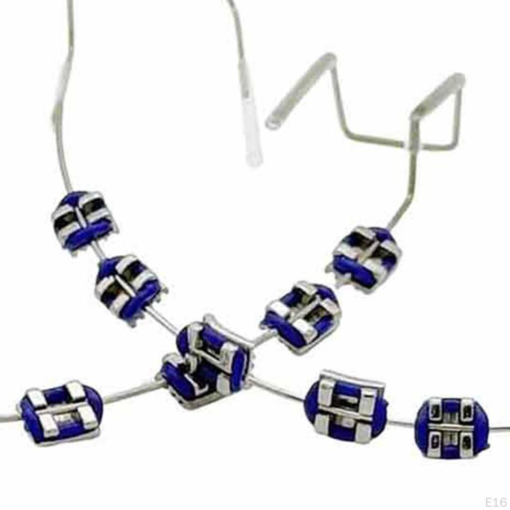 Temporary Tooth Decoration with Case for Classroom Instruction Fashion Brace