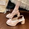 With Skirt Fairy Style Bow High Heel Fashion Sandals Women 2025 Summer New French Thick Heel Bag Head Single Shoes