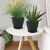 Plastic Round Flower Pots with Tray for Home Planters, Terrace, Garden Etc | Pack of 05 | Black | Size 6.5 Inch