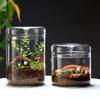 Dew Collection Mini Ecosystem: Moss Terrarium Glass Cover Decor