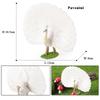 Oenux Bird Nest Animals Peacock Parrot Trogon Hornbill Owl Model PVC Action Figures Big Garden Decoration Cute Kids Toy Gift