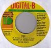 7inch Record MORGAN HERITAGE & BUSHMAN / CHUKKI  - Try / Nuff A Dem NONE Digital-B 2004 Jamaica Reggae, Ska & Dub Used