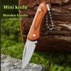 New Mini Stainless Steel Folding Knife Colorful Wood Portable Mini Keychain Unboxing and Opening Express Knife
