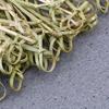 100pcs Bar Tool Bamboo Knot Disposable Bamboo Knot Skewers Household Fruit Forks
