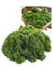 Artificial Moss 100g Bonsai Fake Moss Green Potted Garden Artificial Flowers Houseplants Model Diorama S.fields.inc (Green)